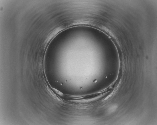 X0000067491137200604071157