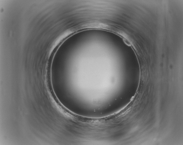 X0000067491139200604071157