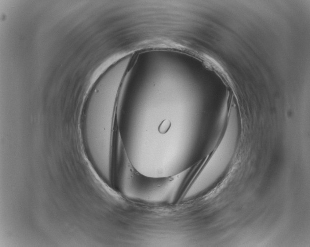 X0000067491141200604071157