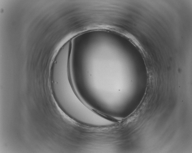 X0000067491143200604071157