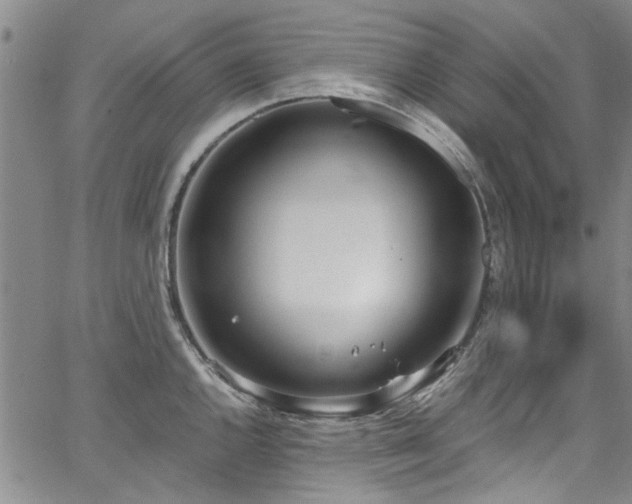 X0000067491144200604071157