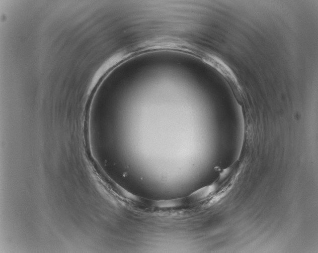 X0000067491146200604071157