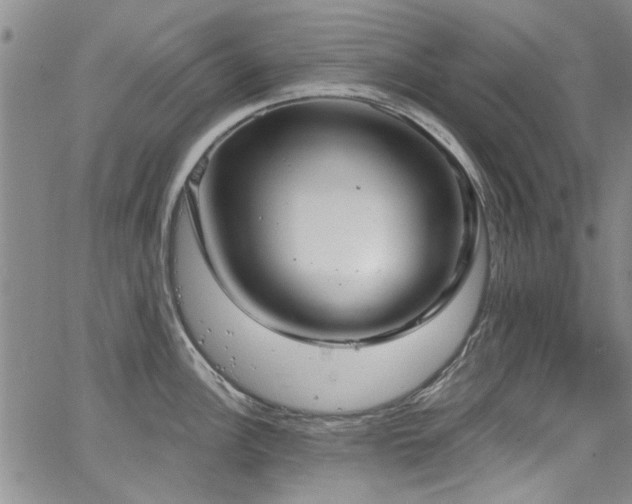 X0000067491148200604071157