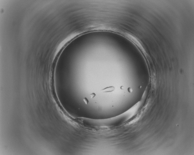 X0000067491149200604071157