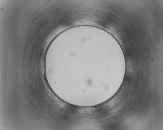 X0000067491150200604071157