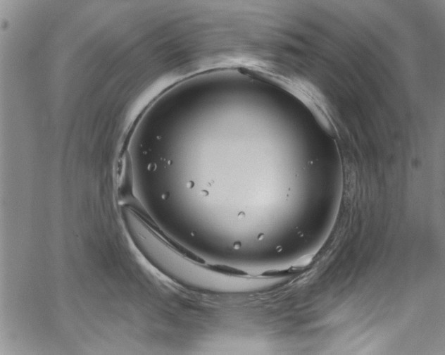 X0000067491151200604071157