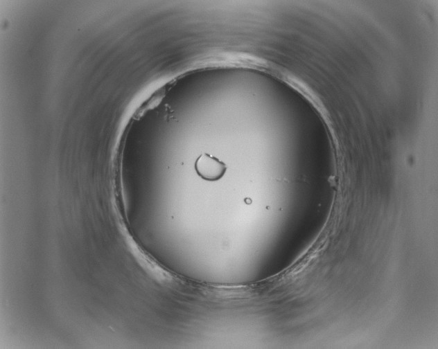 X0000067491152200604071157