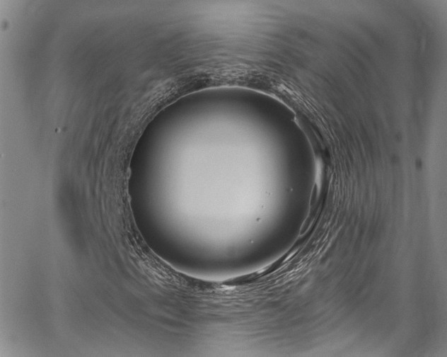 X0000067491153200604071157