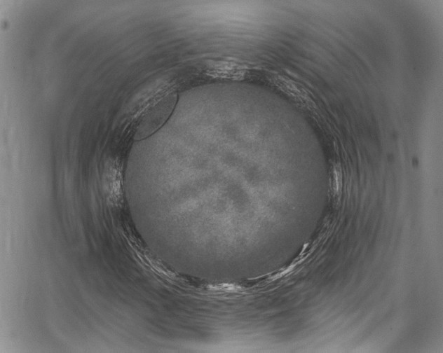 X0000067491154200604071157