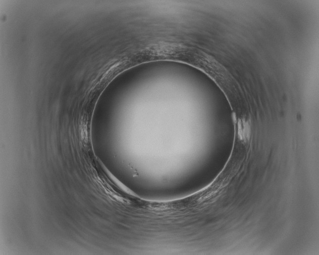 X0000067491155200604071157