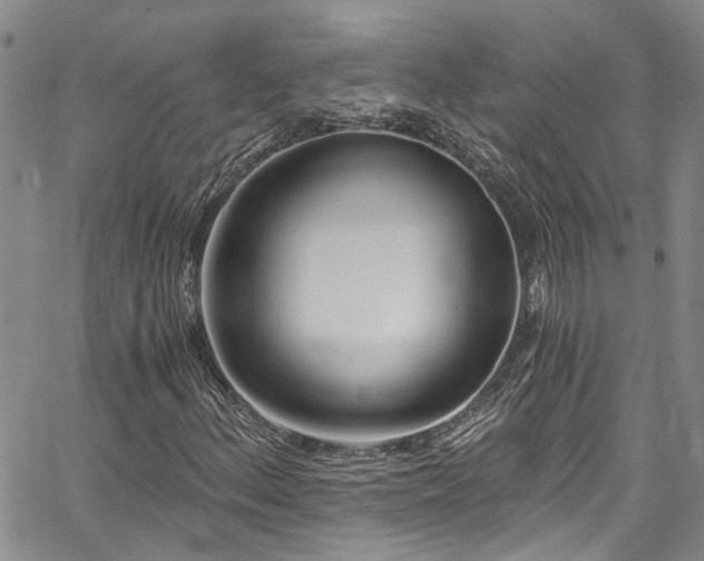 X0000067491156200604071157