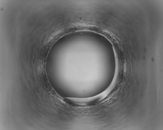 X0000067491157200604071157