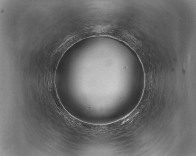 X0000067491158200604071157