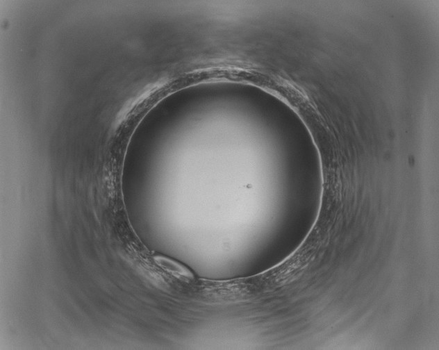 X0000067491159200604071157