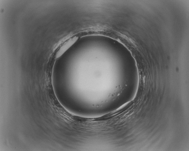 X0000067491160200604071157