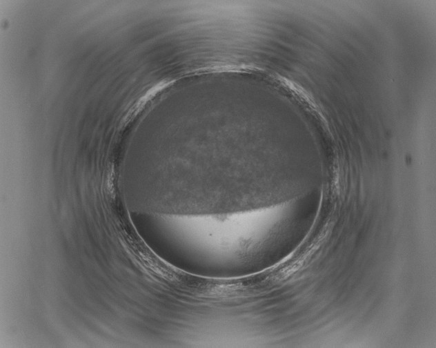 X0000067491161200604071157