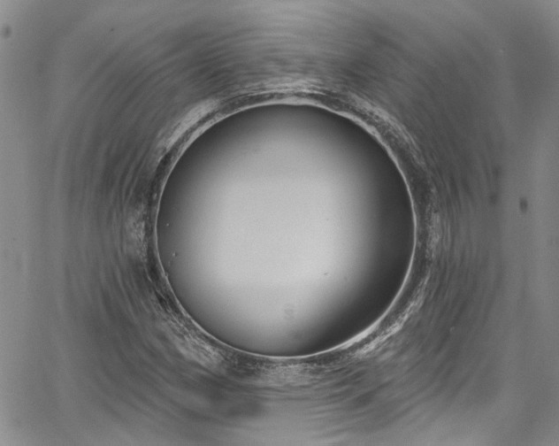 X0000067491162200604071156