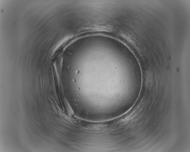 X0000067491163200604071156