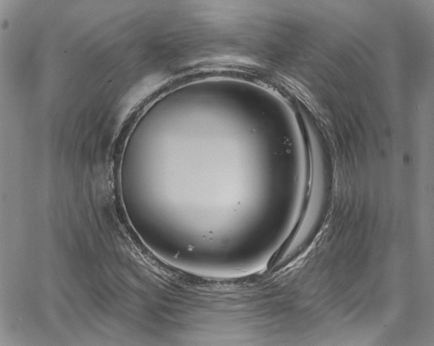 X0000067491164200604071156