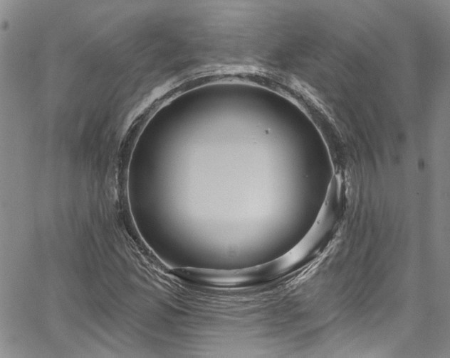 X0000067491165200604071156