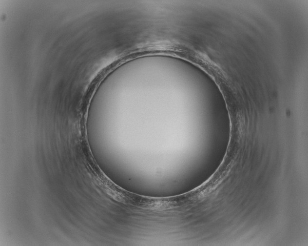 X0000067491166200604071156