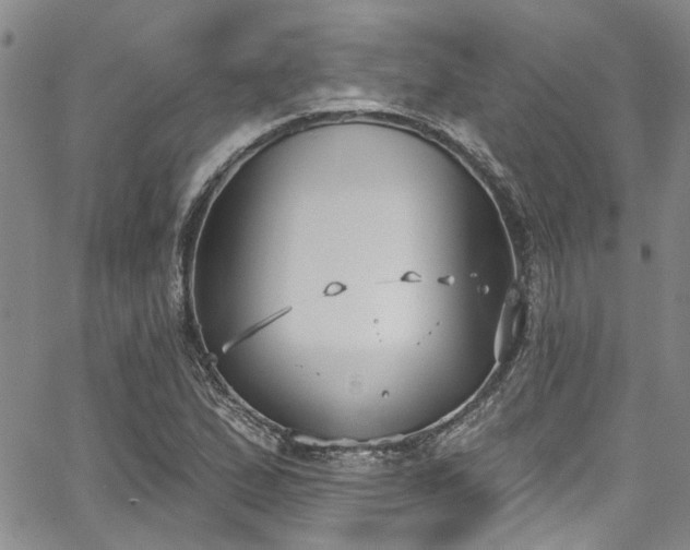 X0000067491167200604071156