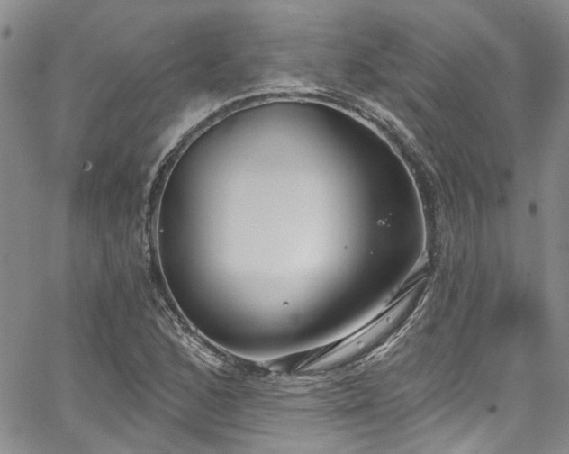 X0000067491168200604071156