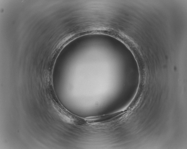 X0000067491169200604071156