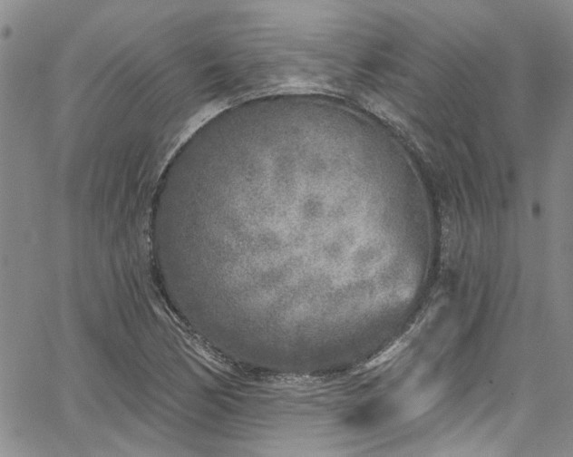 X0000067491170200604071156