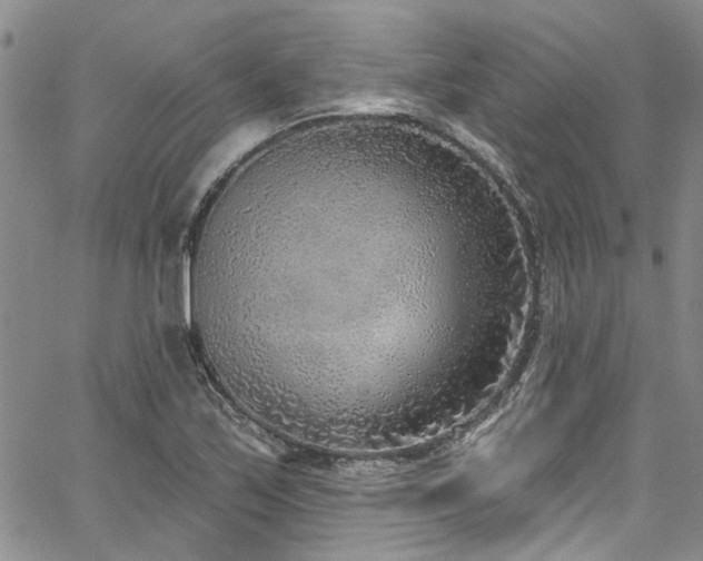 X0000067491171200604071156