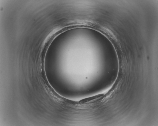 X0000067491172200604071156