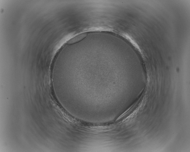 X0000067491173200604071156