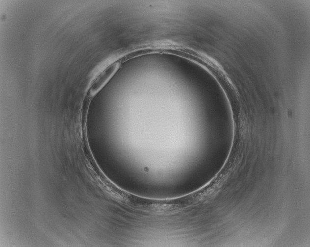 X0000067491176200604071156