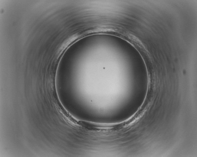 X0000067491177200604071156