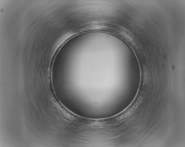 X0000067491178200604071156