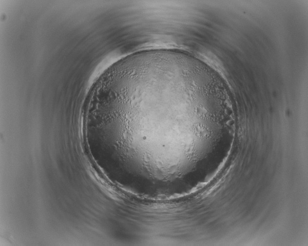 X0000067491179200604071156