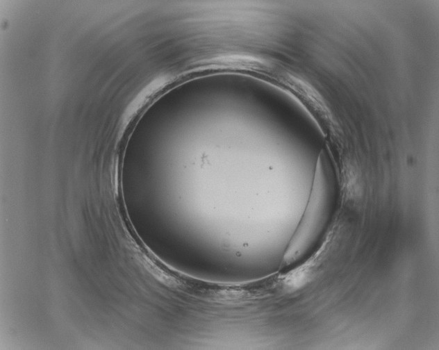 X0000067491180200604071156