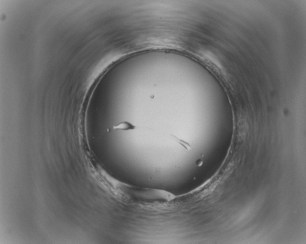 X0000067491182200604071156