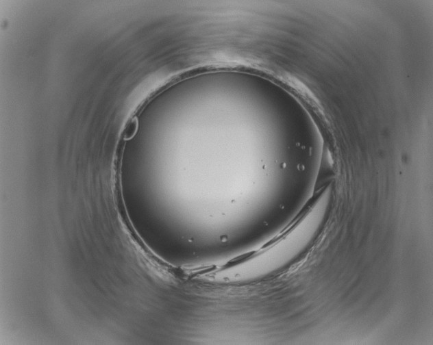 X0000067491183200604071156