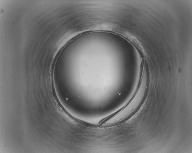 X0000067491184200604071156