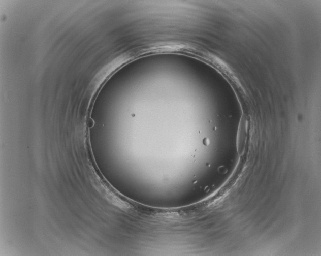 X0000067491186200604071156