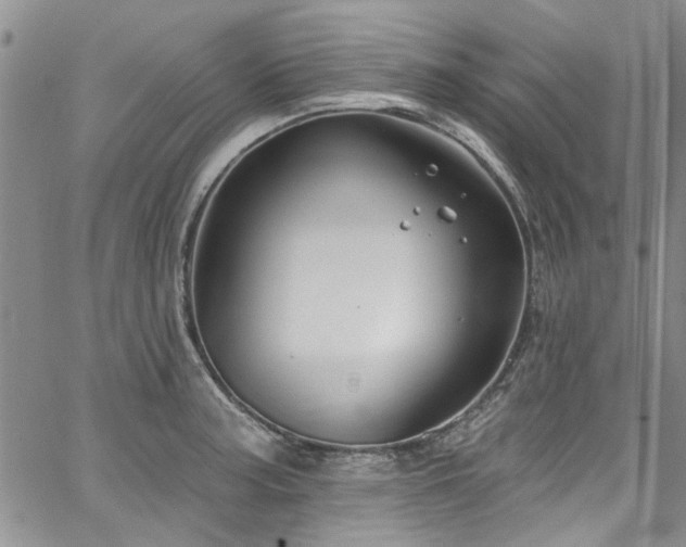 X0000067491187200604071156