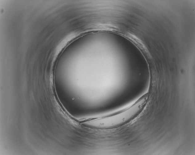 X0000067491188200604071156