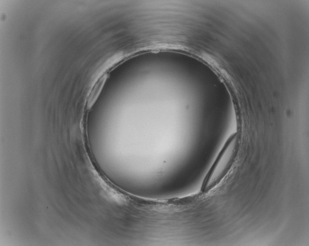 X0000067491189200604071156