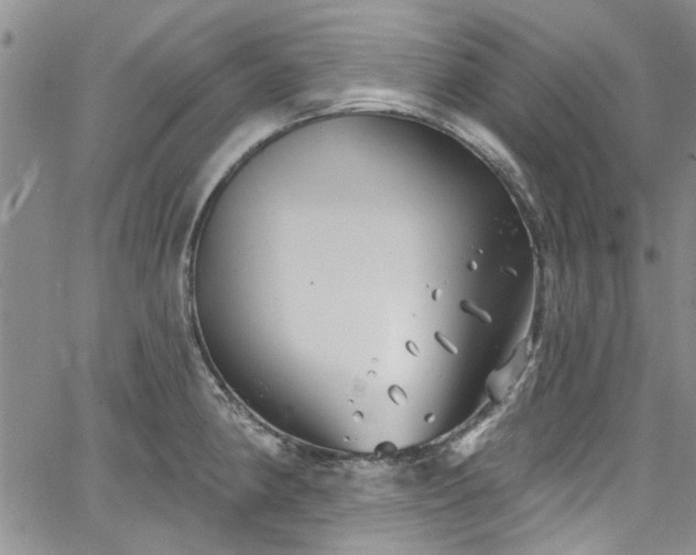 X0000067491190200604071156