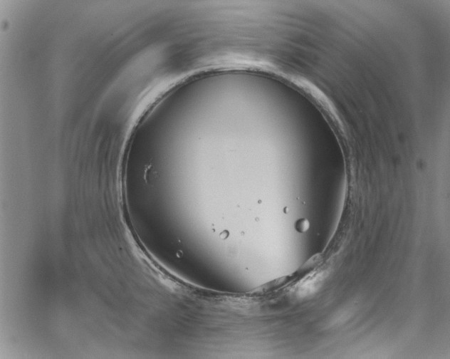 X0000067491191200604071156