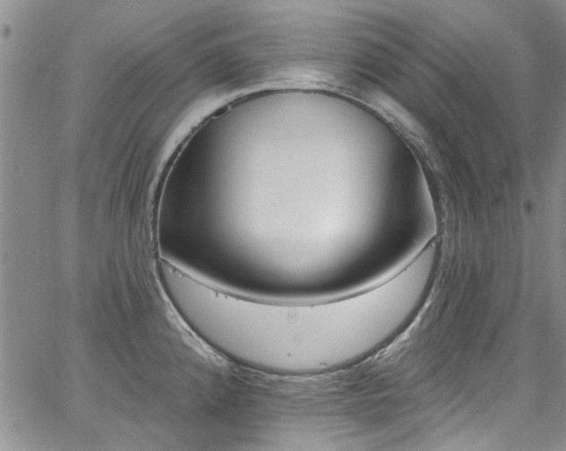 X0000067491192200604071156