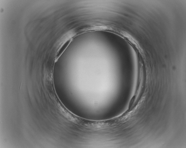 X0000067491193200604071156