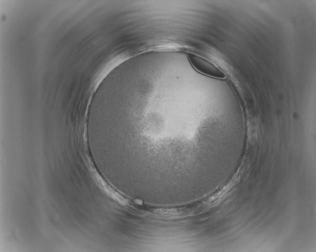 X0000067491194200604071156