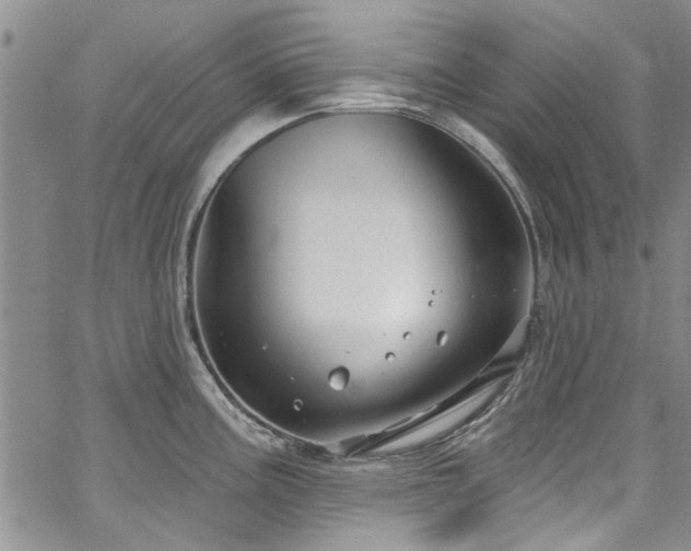 X0000067491195200604071156